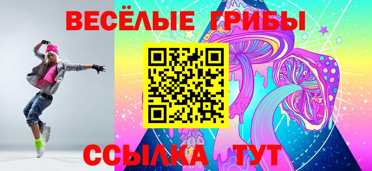 Псилоцибиновые грибы GOLDEN TEACHER  Галлюциногенные грибы прущие грибы  Вход с VPN  Элиста 