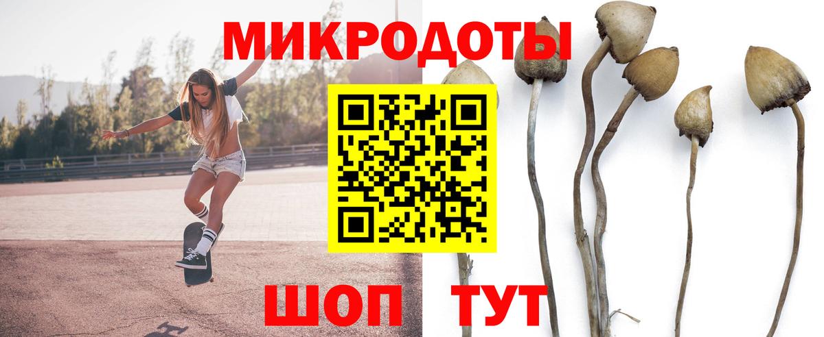 Галлюциногенные грибы мицелий Элиста